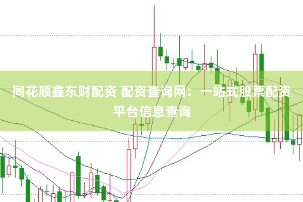 同花顺鑫东财配资 配资查询网：一站式股票配资平台信息查询
