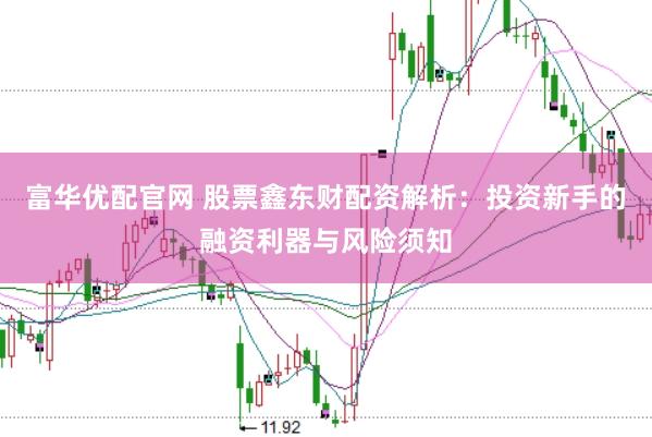 富华优配官网 股票鑫东财配资解析：投资新手的融资利器与风险须知
