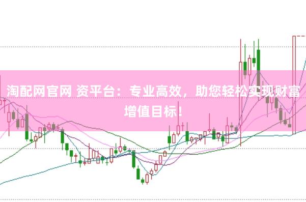 淘配网官网 资平台：专业高效，助您轻松实现财富增值目标！