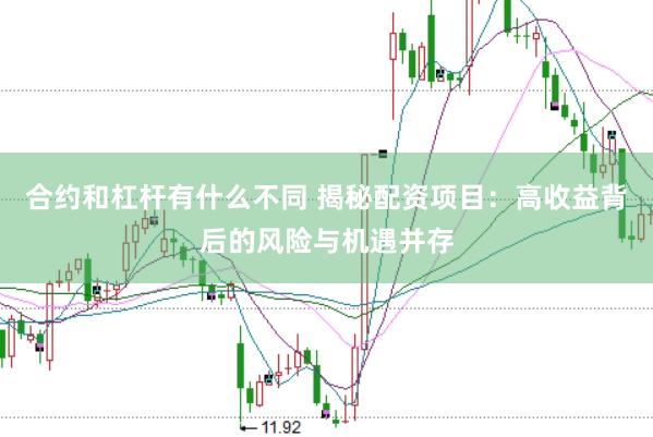 合约和杠杆有什么不同 揭秘配资项目：高收益背后的风险与机遇并存