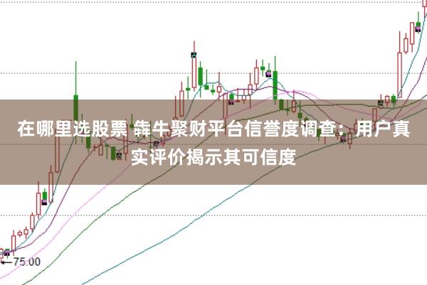 在哪里选股票 犇牛聚财平台信誉度调查：用户真实评价揭示其可信度