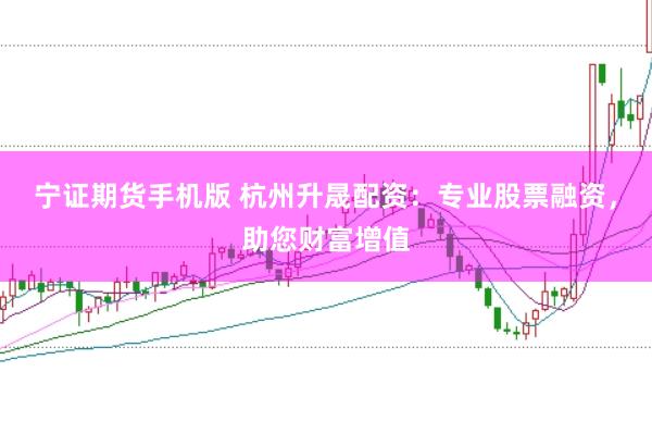 宁证期货手机版 杭州升晟配资：专业股票融资，助您财富增值