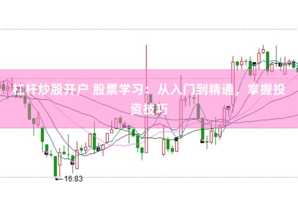 杠杆炒股开户 股票学习：从入门到精通，掌握投资技巧