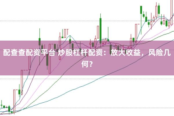 配查查配资平台 炒股杠杆配资：放大收益，风险几何？