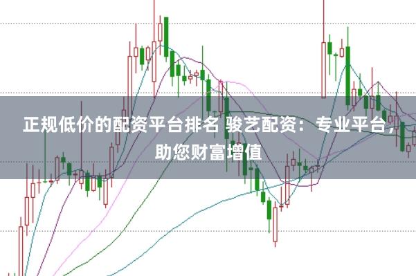 正规低价的配资平台排名 骏艺配资：专业平台，助您财富增值