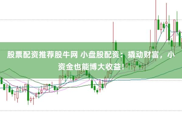 股票配资推荐股牛网 小盘股配资：撬动财富，小资金也能博大收益！