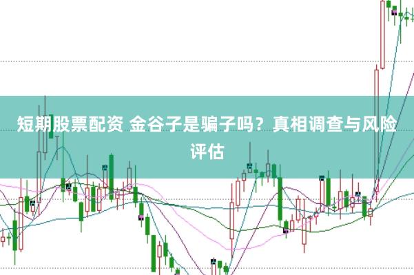 短期股票配资 金谷子是骗子吗？真相调查与风险评估
