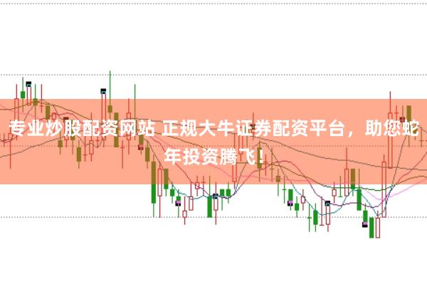 专业炒股配资网站 正规大牛证券配资平台，助您蛇年投资腾飞！