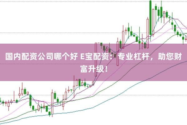 国内配资公司哪个好 E宝配资：专业杠杆，助您财富升级！