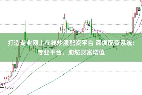 打造专业网上在线炒股配资平台 深圳配资系统：专业平台，助您财富增值