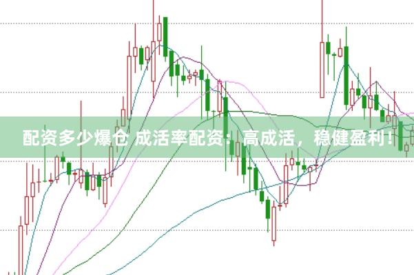 配资多少爆仓 成活率配资：高成活，稳健盈利！