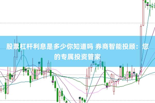 股票杠杆利息是多少你知道吗 券商智能投顾:您的专属投资管家