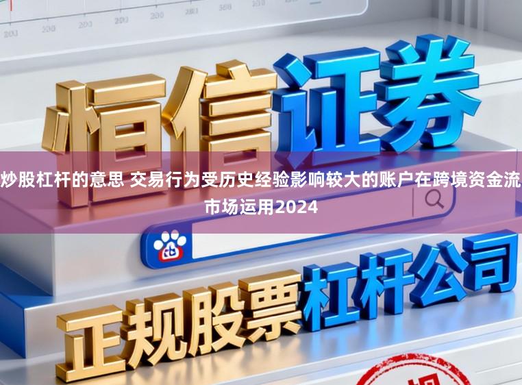 炒股杠杆的意思 交易行为受历史经验影响较大的账户在跨境资金流市场运用2024